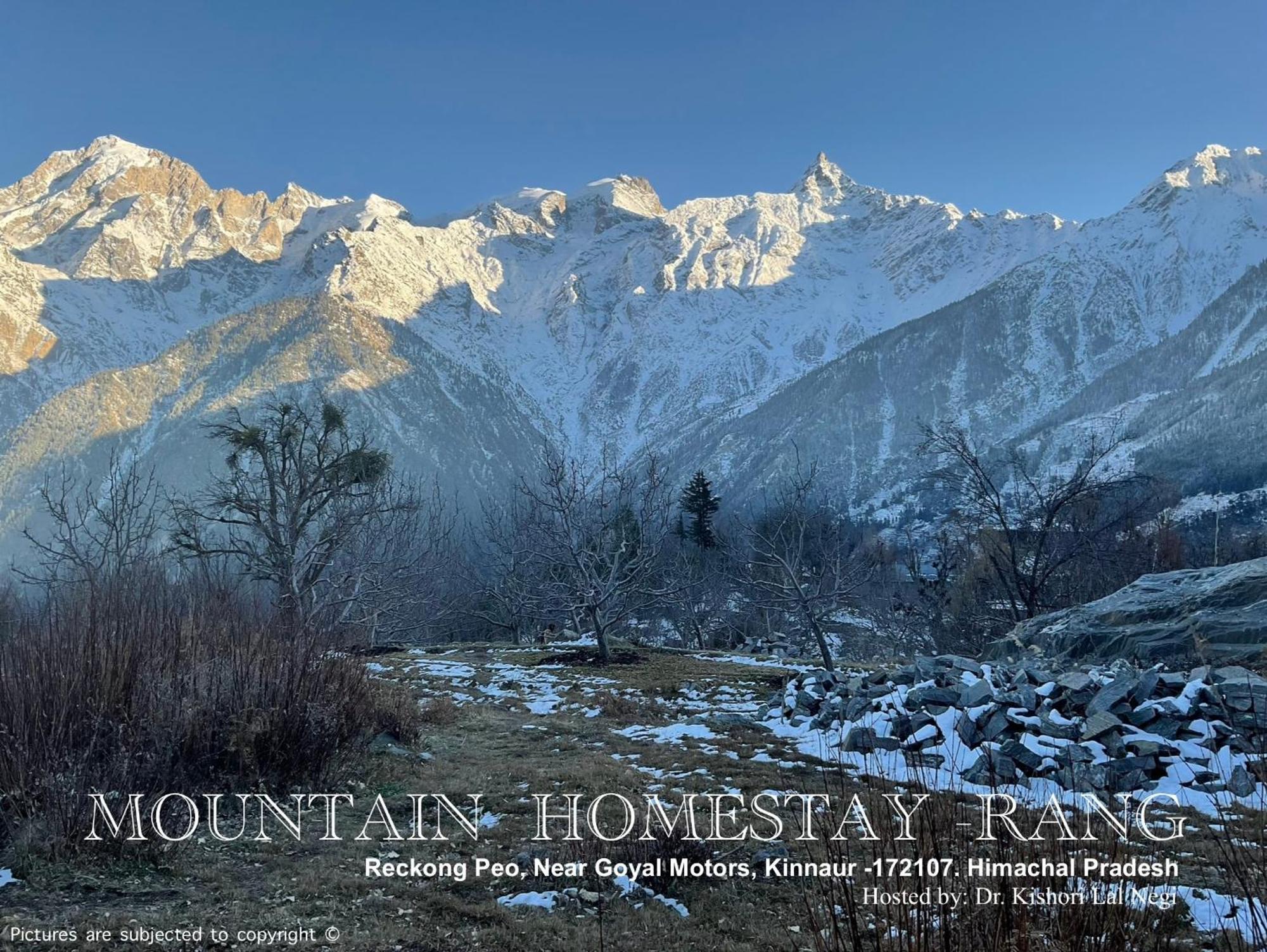 Mountain Home Stay: Serene Retreat in Reckong Peo Kalpa Exterior photo